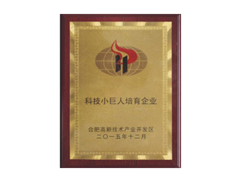 企業(yè)榮譽-合肥燕美新材料,合肥燕美新材料科技有限公司-家電行業(yè)粉末涂料,汽車粉末預料,MDF粉末涂料